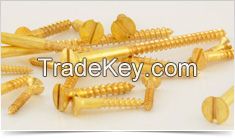 Brass Wood Screw