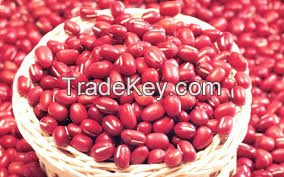 KIDNEY BEANS | COCOA POWDER | CHICKPEAS | RED BEANS | COCOA BEANS