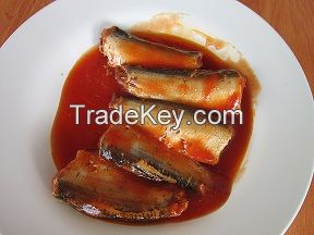 Canned sardines in tomato sause