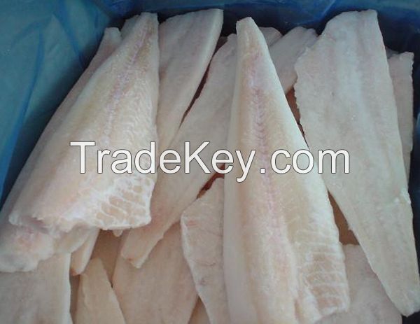 frozen cod fish fillet