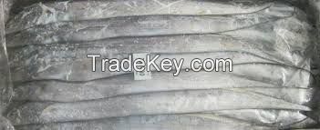 Frozen seafood grade A price ribbon fish new wholesale