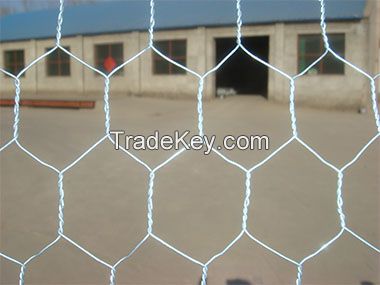 hexagonal wire mesh