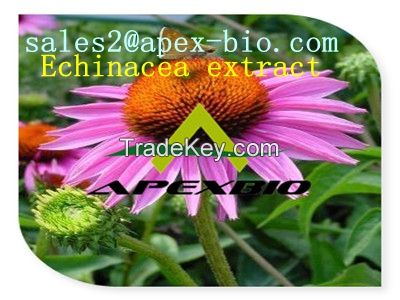 Echinacea extract