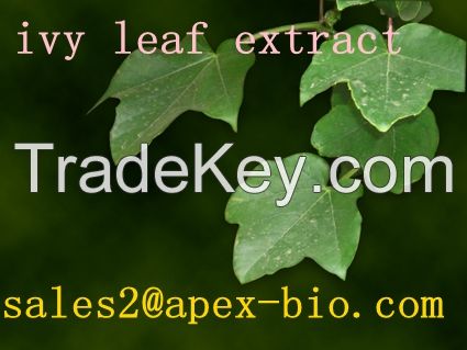 ivy leaf Extract