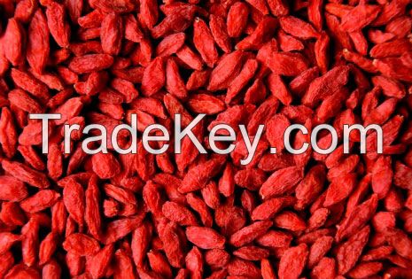 Dried Goji Berries for sale