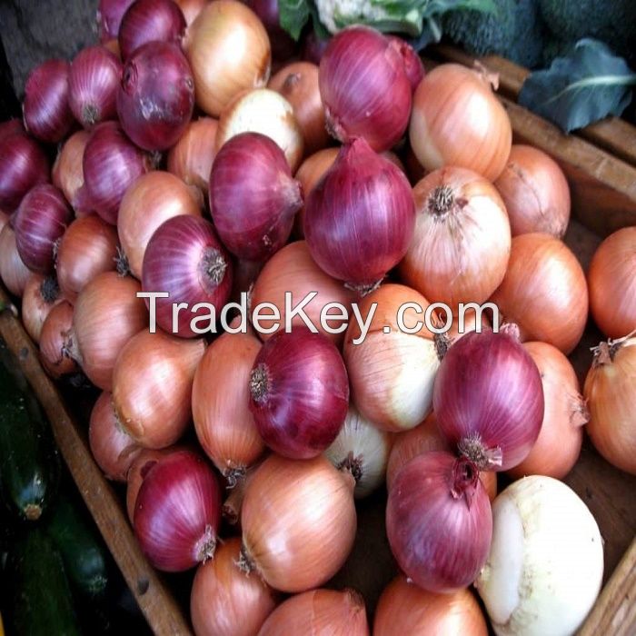 Natural Fresh Yellow, White and Red Onions