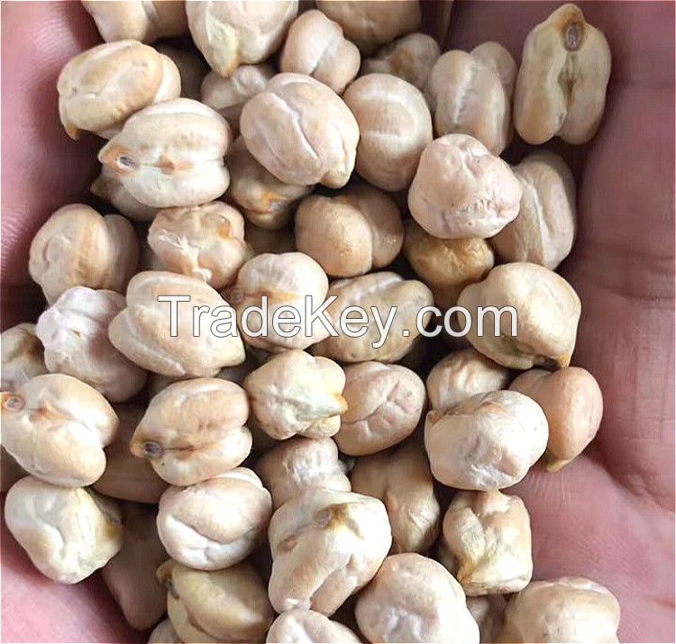 Wholesale Kabuli Desi australia chickpeas 