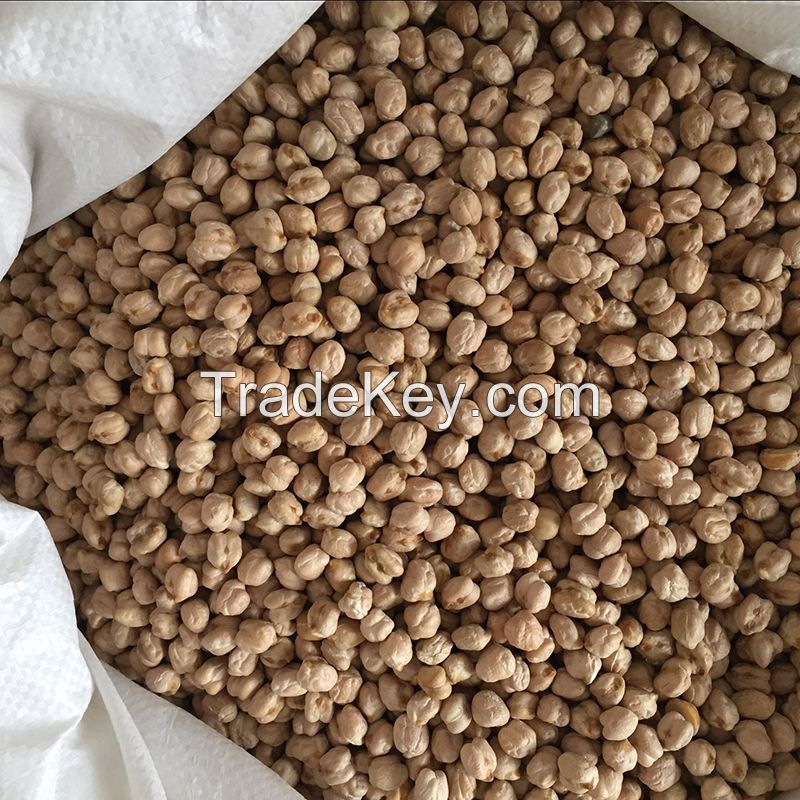 Wholesale Kabuli Desi australia chickpeas 