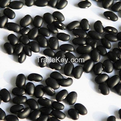 WHITE ,BLACK AND RED KIDNEY BEANS