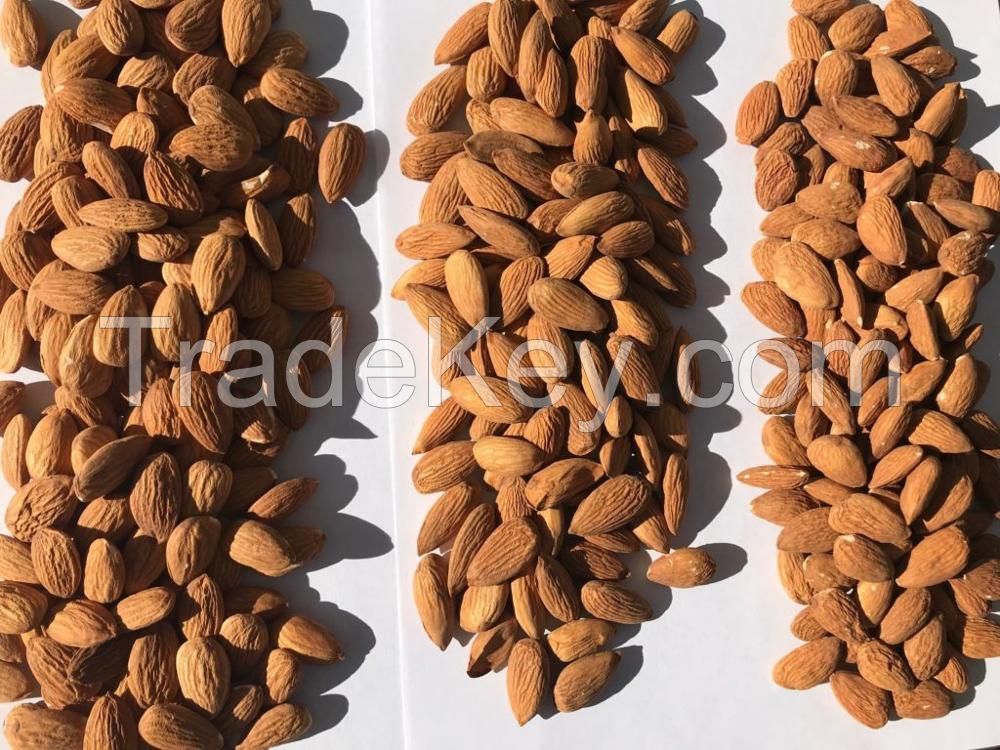 Roasted Almond nuts/Almond with shell