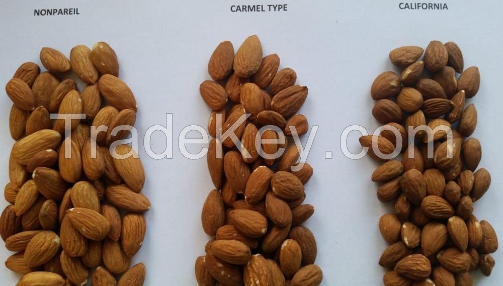 Roasted Almond nuts/Almond with shell