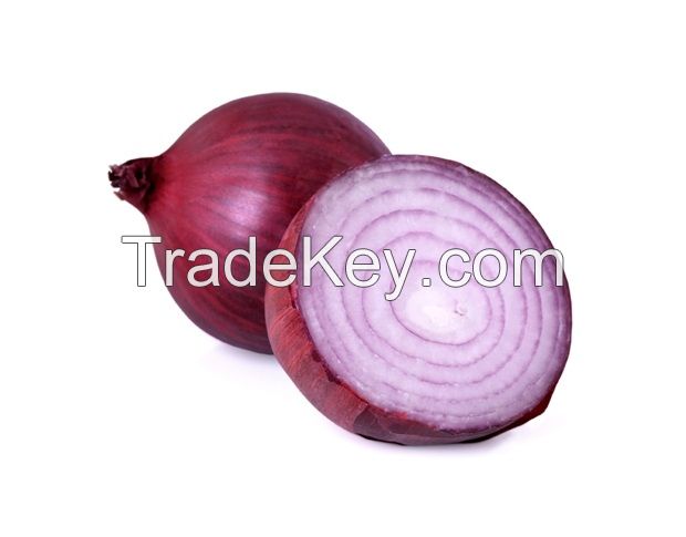 Round fresh red onion available for sale 