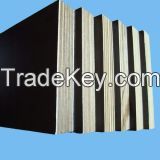 19mm black film faced plywood for building construction