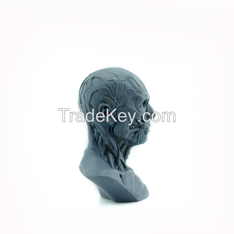 high quality yellow color small human skull for Halloween decoration