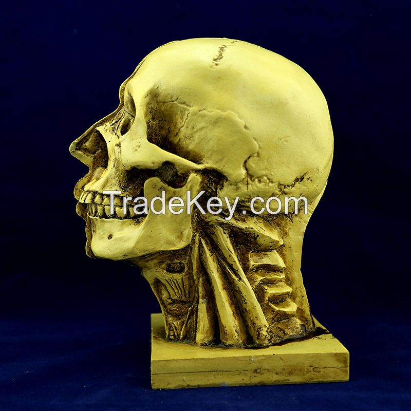 high quality yellow color human skull for Halloween decoration