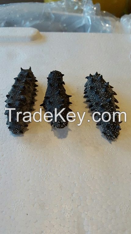 wild, no salt, dried sea-cucumber