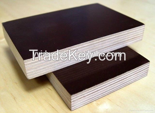 High quality 1220*2440*18mm Black Film Face Plywood with competitive p