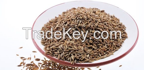 Manufacturer of Cumin Seed