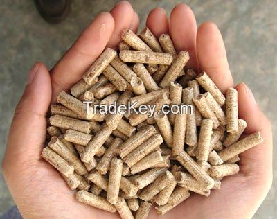 spurce wood pellet
