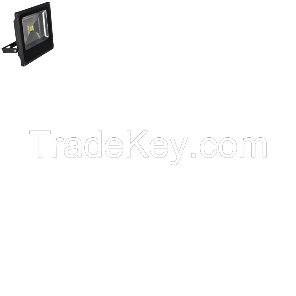 Raymax LED flood light 50w