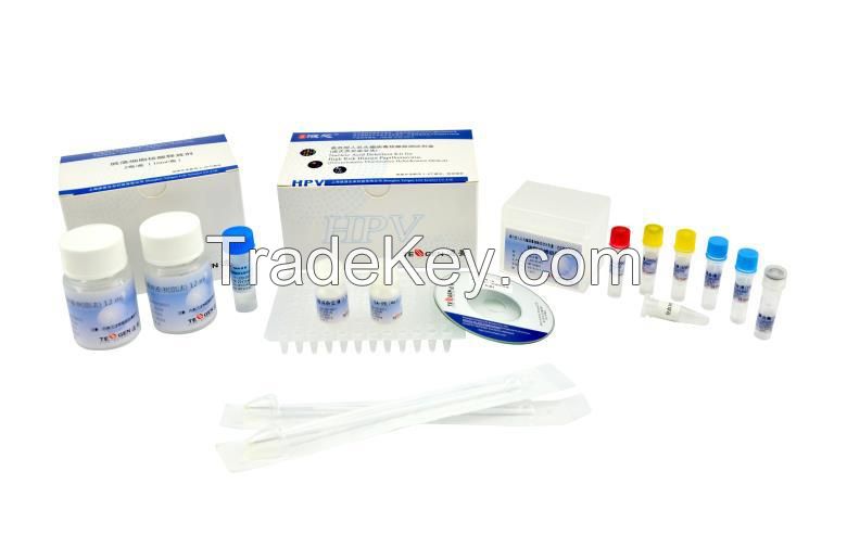HPV 27 Genotyping Test Kit
