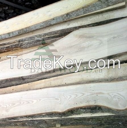 Premium Offer for Ash Boards