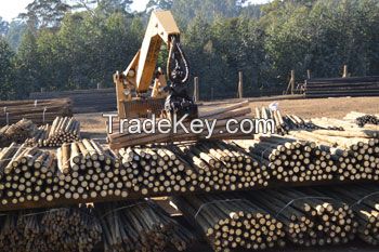 Treated Machine Round Pole, Treated Poles And Timber Products For Sale