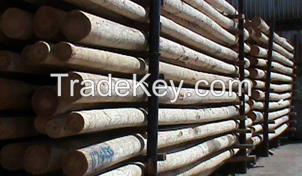 Power Poles; Pine Elliottii Wooden Poles, Pine Taeda Wooden Poles, Pine Hondurensis Wooden Poles, Pine Caribea Wooden Poles, Eucalyptus Grandis Wooden Poles, Eucalyptus Globulus Wooden Poles, Eucalyptus Dunni Wooden Poles etc for sale