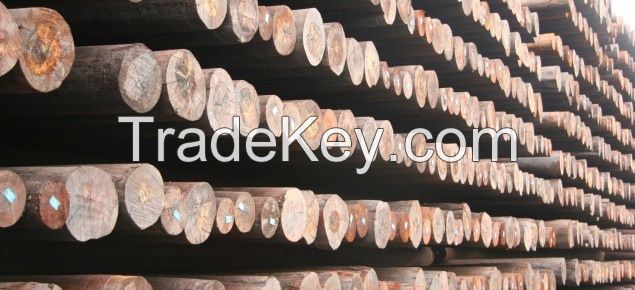 Treated Machine Round Pole, Treated Poles And Timber Products For Sale