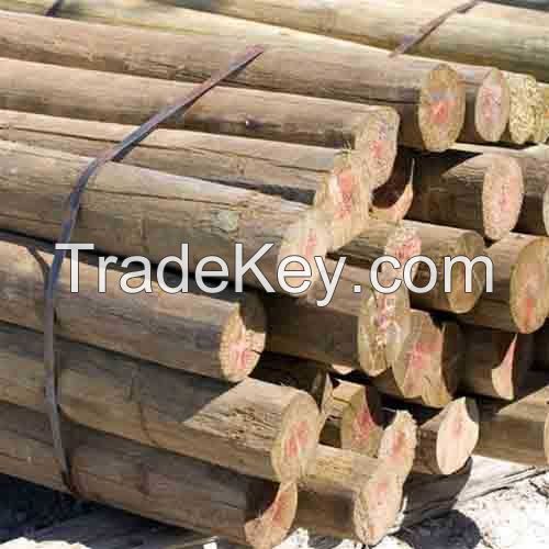 Treated Machine Round Pole, Treated Poles And Timber Products For Sale