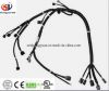 Wiring Harness for Auto Accessories