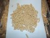 Wood Pellet - High Qua...