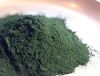 Micro-algae 100% natural Spirulina 