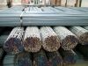 hot-rolled ribbed steel bar/rebar/TMT steel
