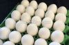  Fresh Chicken Eggs Brown and White 