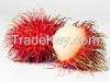 Rambutan from Zanzibar...