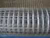 Galvanized Welded Wire Mesh for Cages