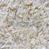 Rice Mills in Haryana