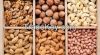Almond, Cashew Nuts ,Hazelnuts, Macadamia Nuts, Peanuts, Pistachio Nuts, Walnuts ,Sunflower Kernels