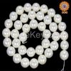 wholesale 4-20mm 16" multi-color south sea shell pearl necklace