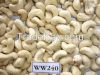 cashew nut
