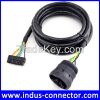 Automobile j1939 9 pin Amphenol connector with molex electrical wire harness
