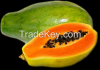 Papaya