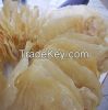fish maw for sale/dried fish maw