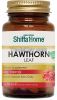 Hawthorn Fruit Capsule and OEM Private Label for Dietary Supplement Top Quality