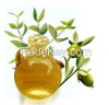 Jojoba Oil in Bulk Wholesale / Natural Cosmetic Degree Herbal Oils