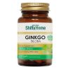 Ginkgo Biloba Extract Capsule Biologically Active Food Supplements