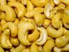 Agriculture Cashew nut...