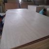 Supply 6mm furniture grade okoume plywood