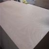 Supply 6mm okoume plywood for door skin